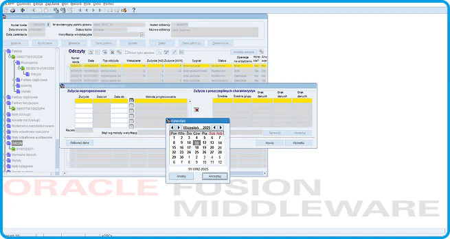 oracle fusion middleware before